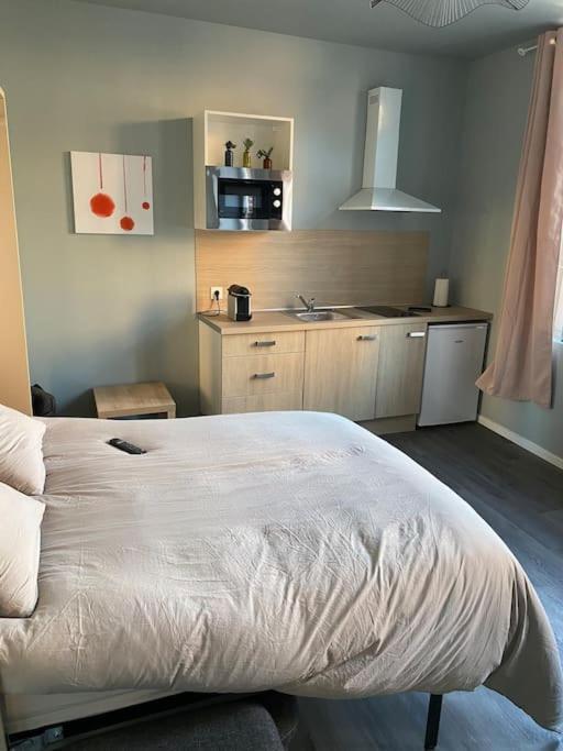 Cambrai:Magnifique Studio Extérieur photo